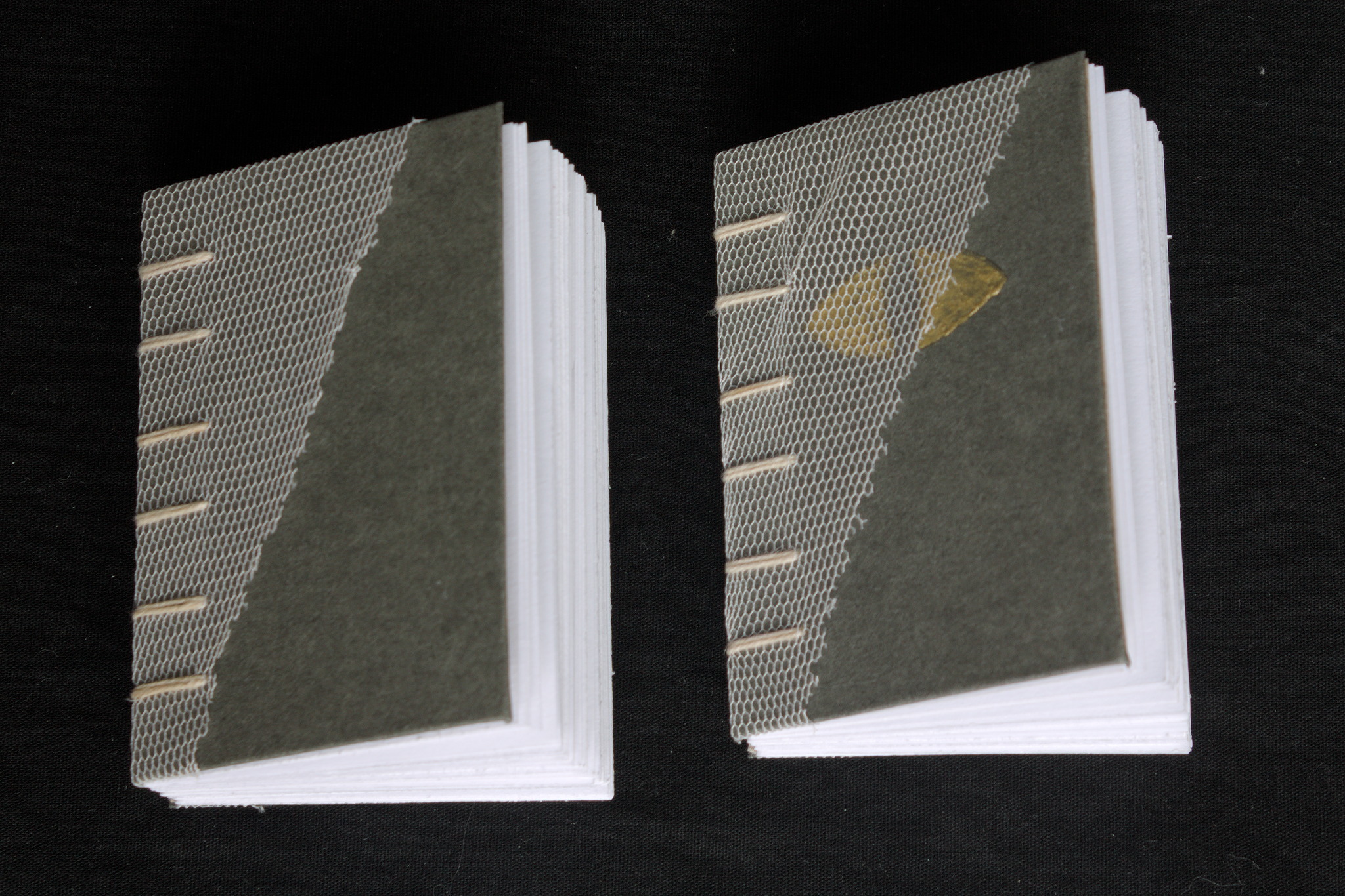 Two coptic bound small books, seen from the front. The covers
are covered in grey paper, and they are half-covered by a piece of
off-white tulle, cut on a diagonal. One of the two books has a cat
eye embossed and painted in gold.