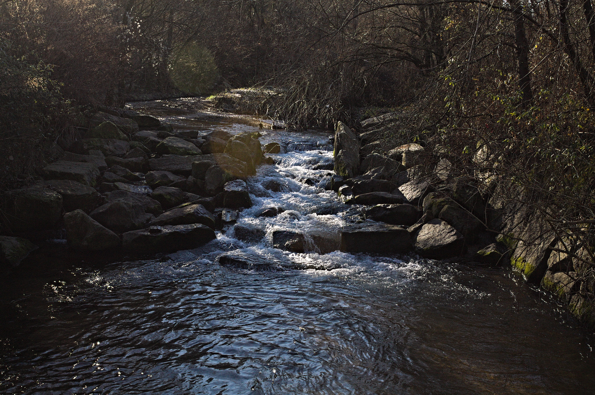 A stream running on rocks with the woods to both sides.